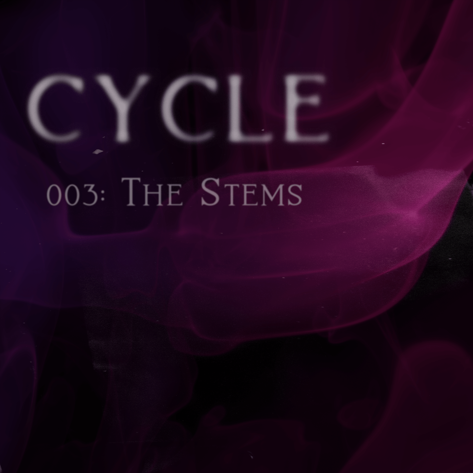 CYCLE003: The Stems Album Art