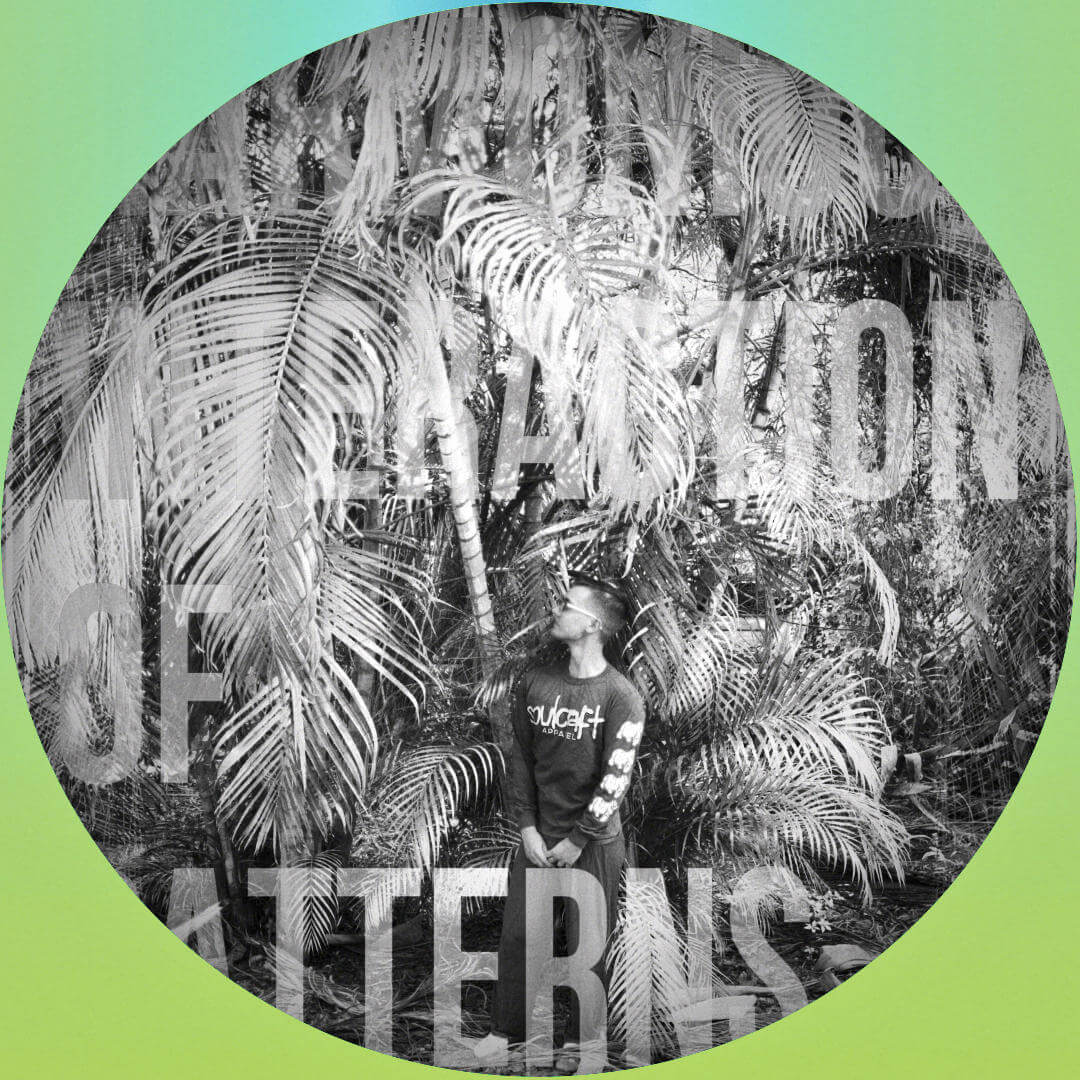 Harmonious Interaction of Patterns (Remixes)