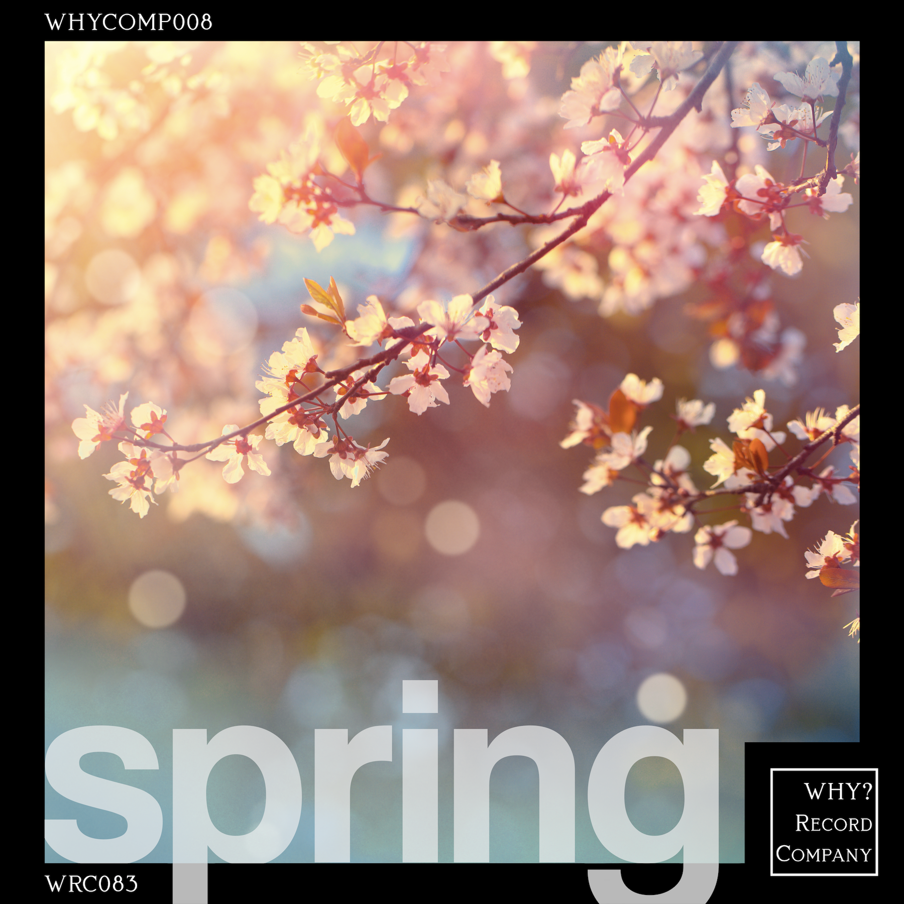 WHYCOMP008: spring